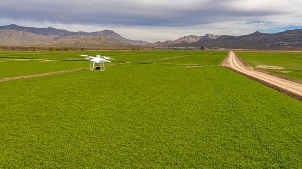 HEA_BLO_AGR_Drone-mapping-for-analyzing-animal-feed-crops